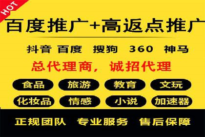 百度竞价推广案例：品牌崛起之路